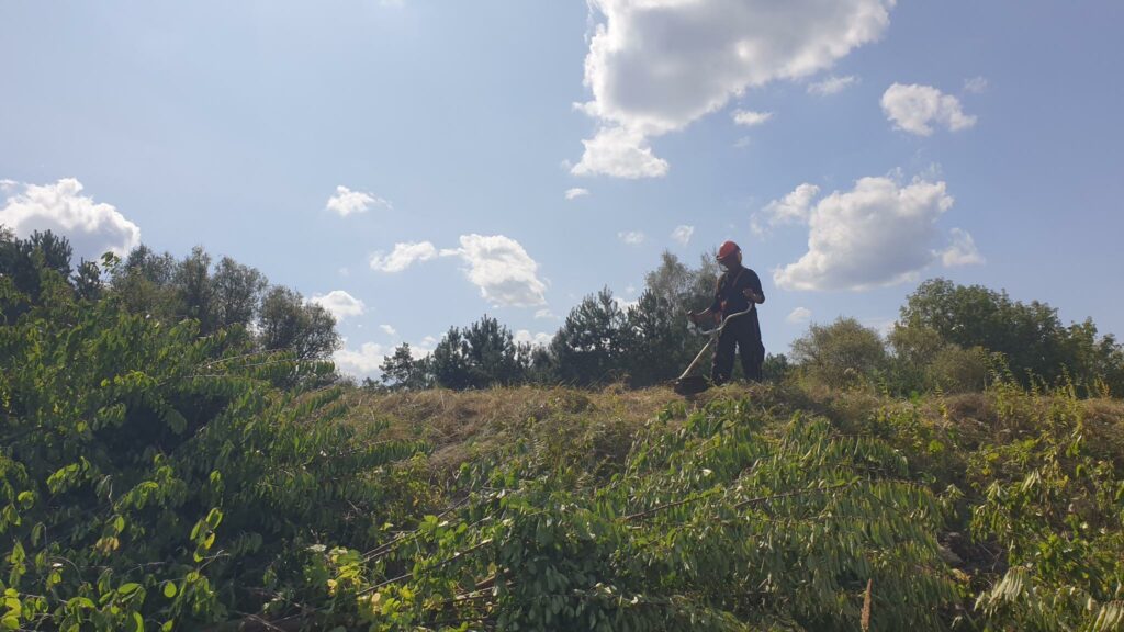 Person steht mit einer Motorsense auf einem Hügel auf dem Gedenkort Uckermark